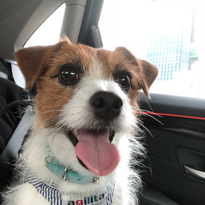 Dd4ac23f cc61 4b8e baf5 bc4595db0c28 1528591818707