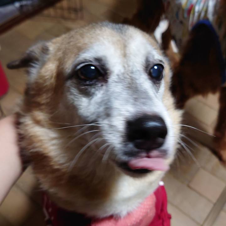 Dd4ae059 0949 4ba6 9ca8 7a393047ab38 1662371195056