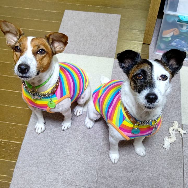 Dd4b18a1 ed05 4ecd 99e6 7f63698fb475 1628371189859