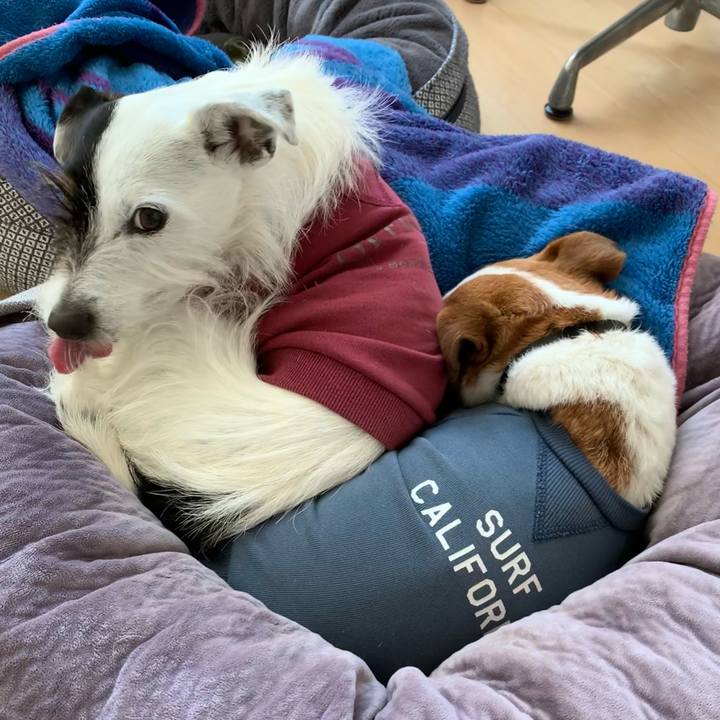 Dd4b303f 2234 4d4f 9c4c 5996cddbff10 1642206611674