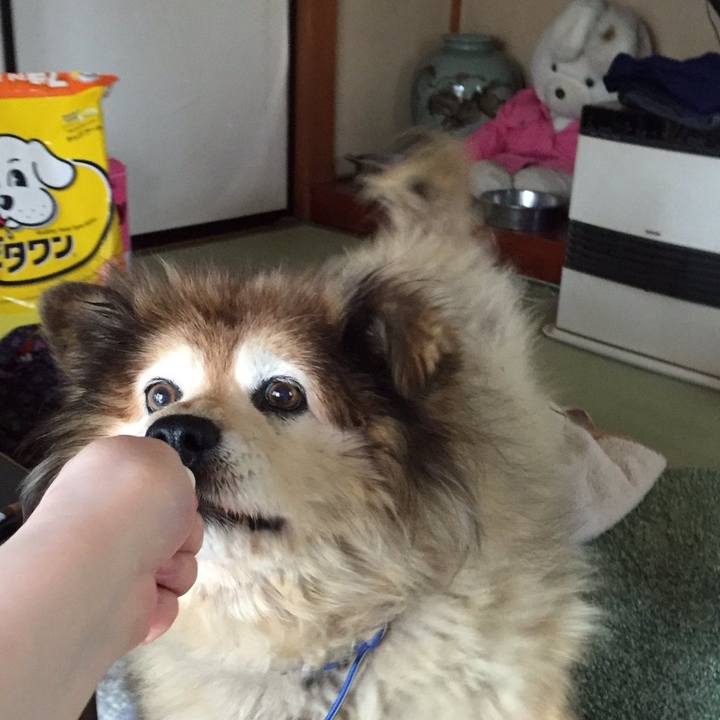 Dd4b79f0 6f28 41d5 9b46 a3ed0bf910e2 1592012463867