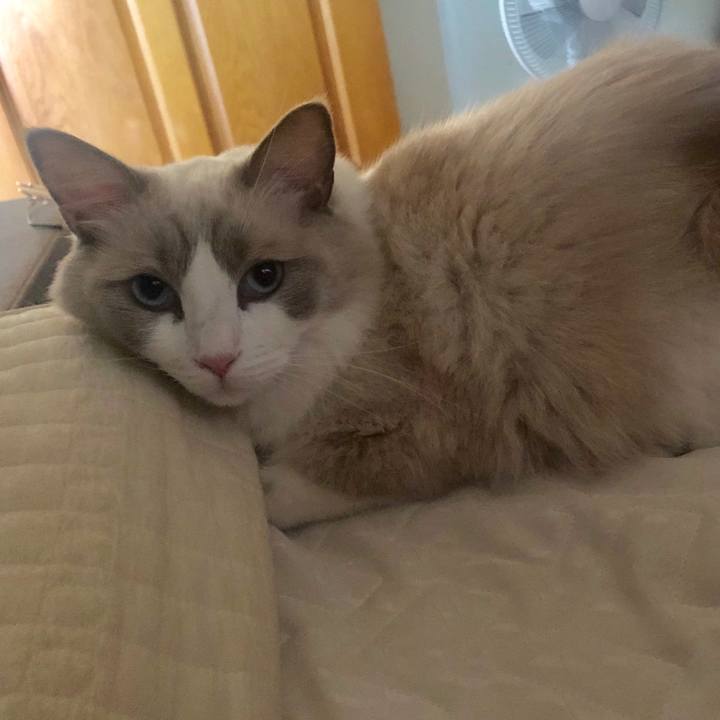 Dd4b8c37 a111 4189 b5a0 e0b0a3a763af 1570593803880