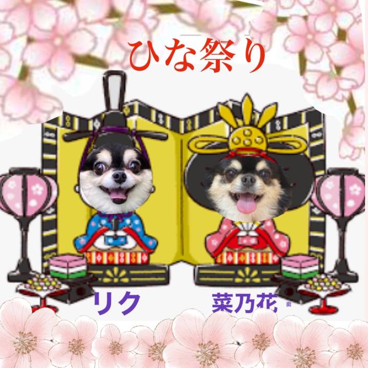 Dd4bbe72 87e3 412c 9f58 506120b3ca19 1646262969676