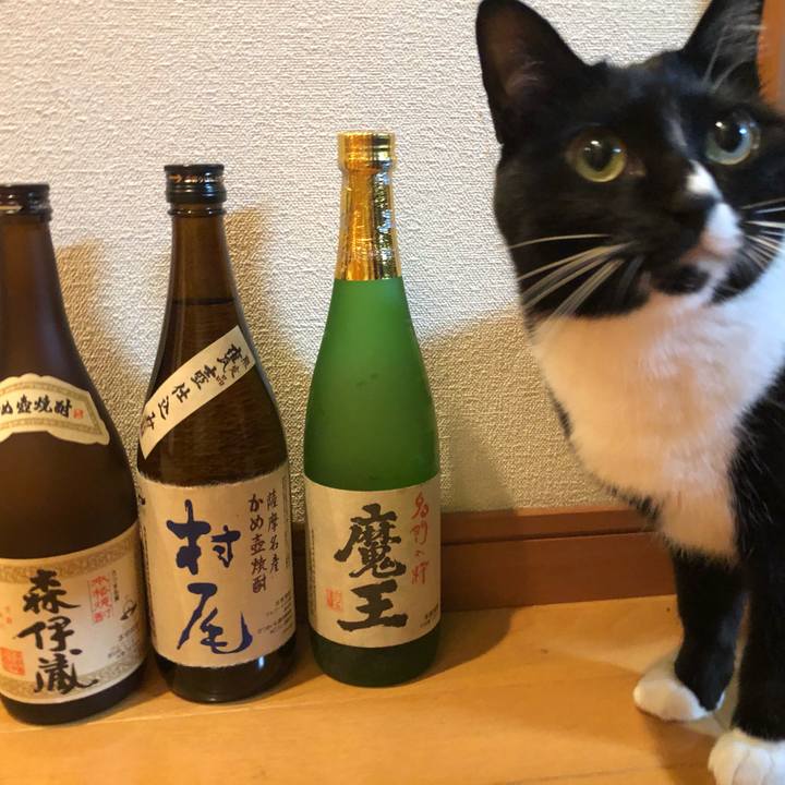 Dd4be556 0f8a 4696 9893 1471fb47912b 1546422945186