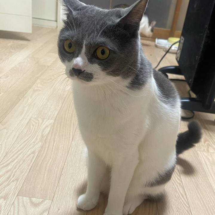 Dd4bf33f 8567 4258 b087 c7101cf18ae2 1626414074213