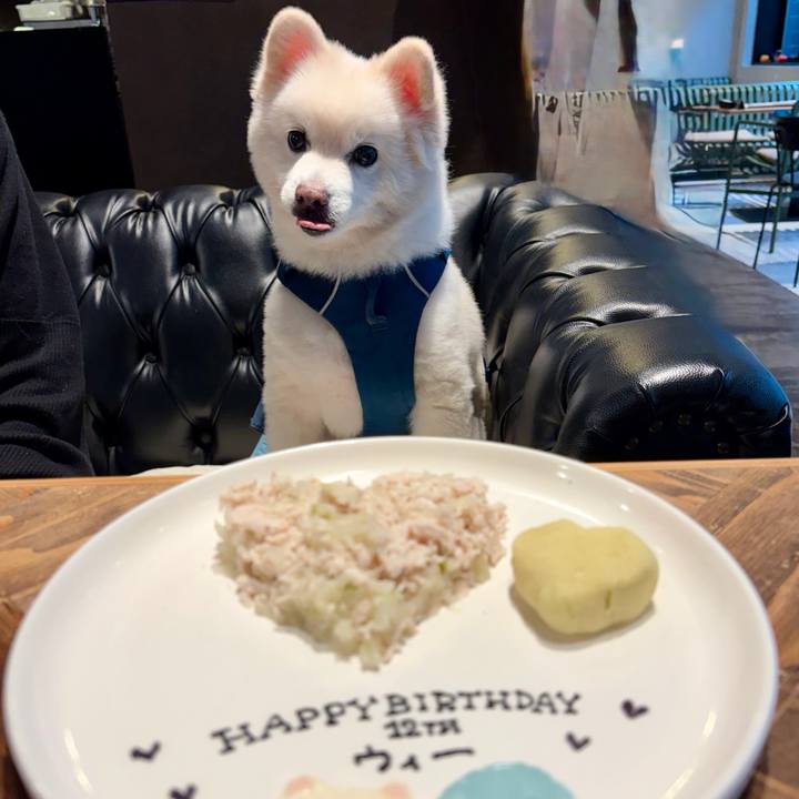 Dd4bfe2d 893c 43fb 8d41 fbfbf96bed2e 1760849014706