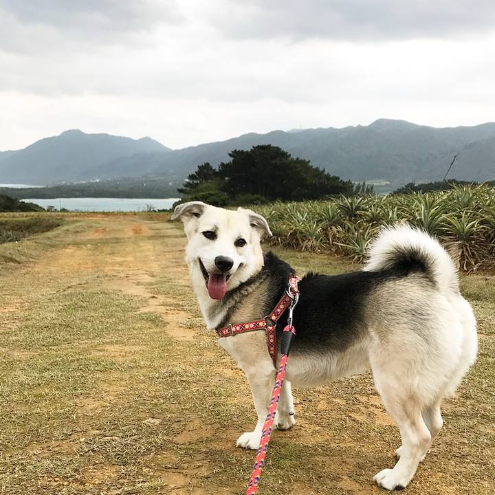 Dd4c1db1 89ab 4ade 8731 2e08b7bca976 1517898883407