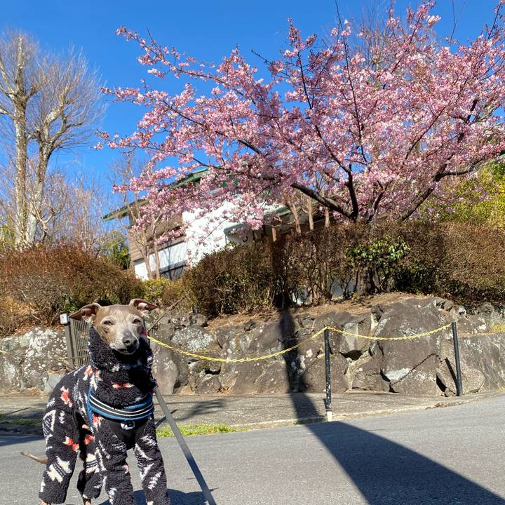 Dd4c420c 5552 42a4 9356 1eba4192ff1f 1770368563213