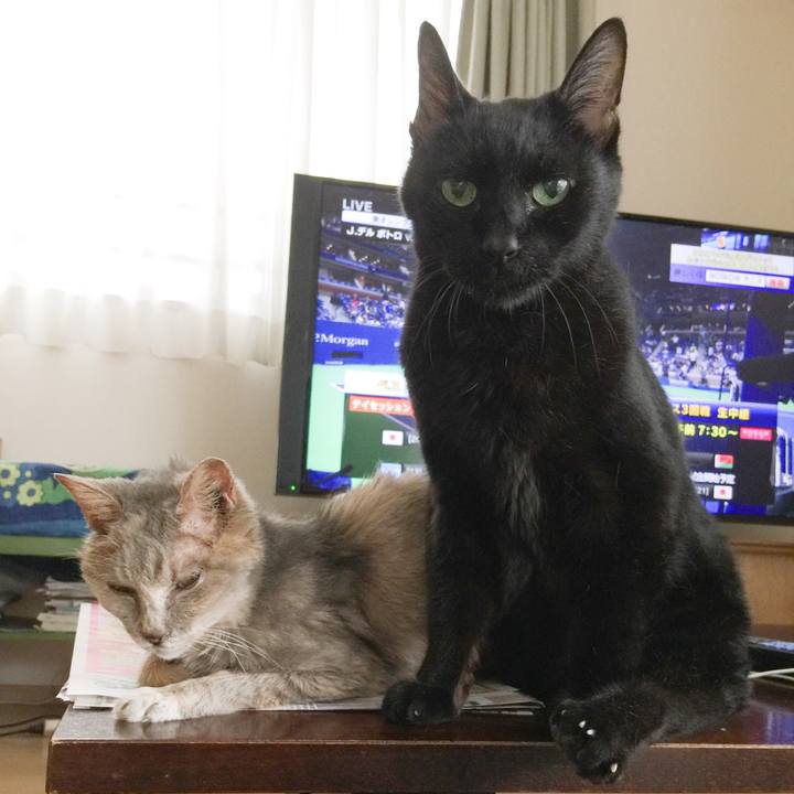 Dd4c4b18 7ec9 454b b66c 030c7d8d2334 1535774999689