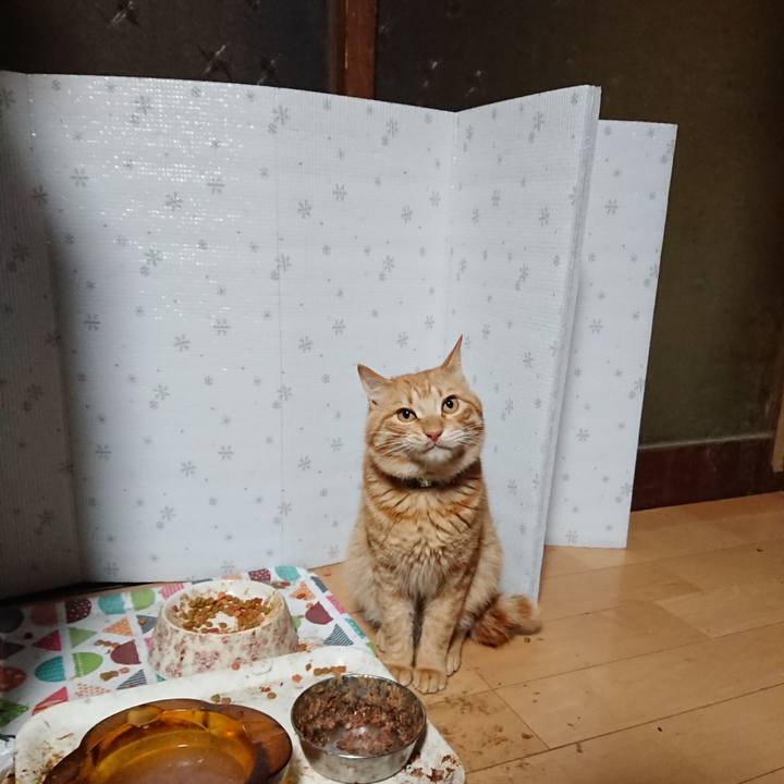 Dd4c5290 1f05 467d 8556 6f4db1c95b18 1644958210408