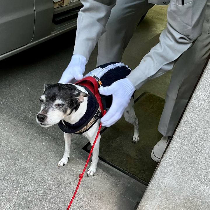 Dd4cb02c cada 410b b5d3 e8972bb0f1bf 1637014697431