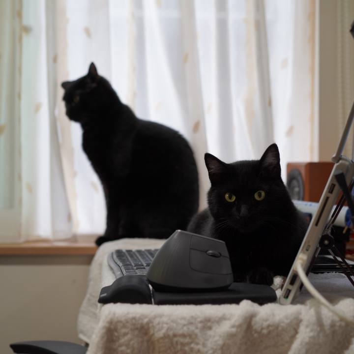 Dd4cb8a1 b28f 4096 a225 44e2e289ae06 1624438623237