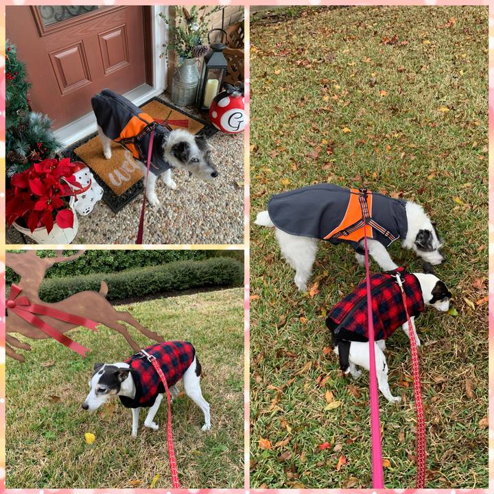 Dd4d9693 550a 4517 bfc5 e15a816f70c1 1608242625413