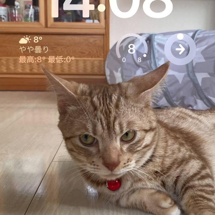 Dd4dc52e 2aa9 43f4 af41 ab2f3ca425b4 1674277853929