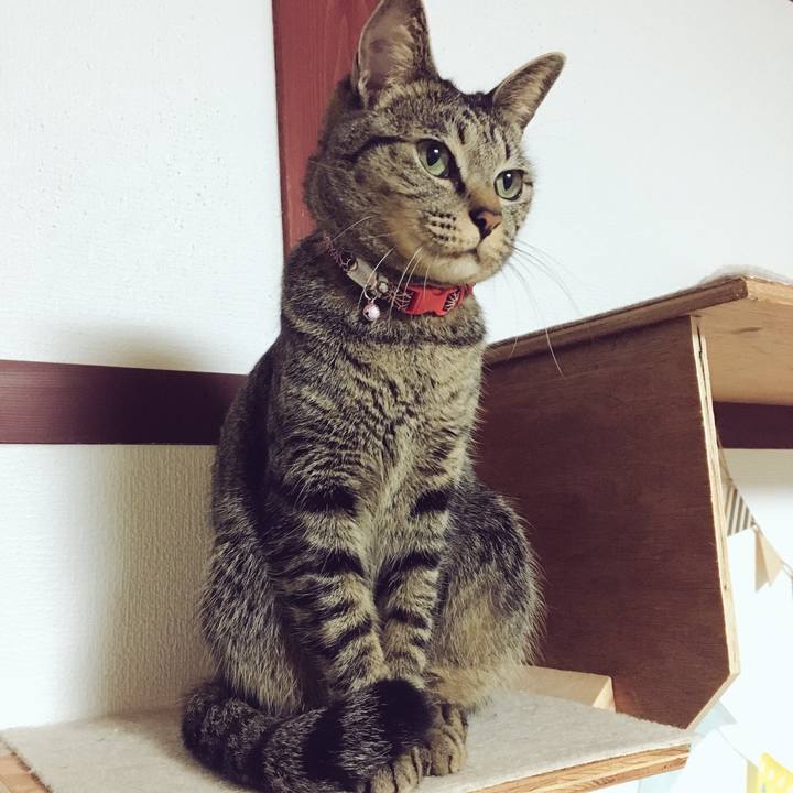 Dd4e0cd2 2f7e 4b2a b57e f0733379ac53 1543449706725