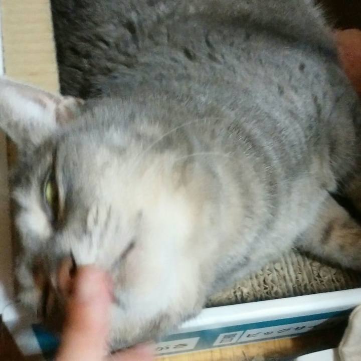 Dd4e13a7 269f 4f55 b247 0311b9b62ead 1533649375478