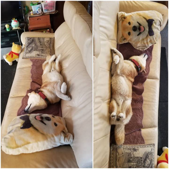 Dd4e20a9 0290 43cf bd24 f9cd0b2b94b2 1762908590444