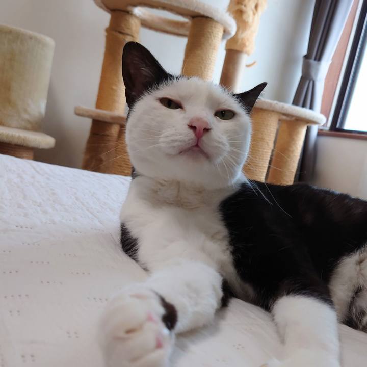 Dd4e2574 6bdb 4762 a1b6 1859491977c1 1630719397020