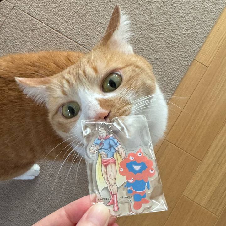 Dd4e29c6 128c 4ca3 9c8d 5607d05f1ce9 1768005564892