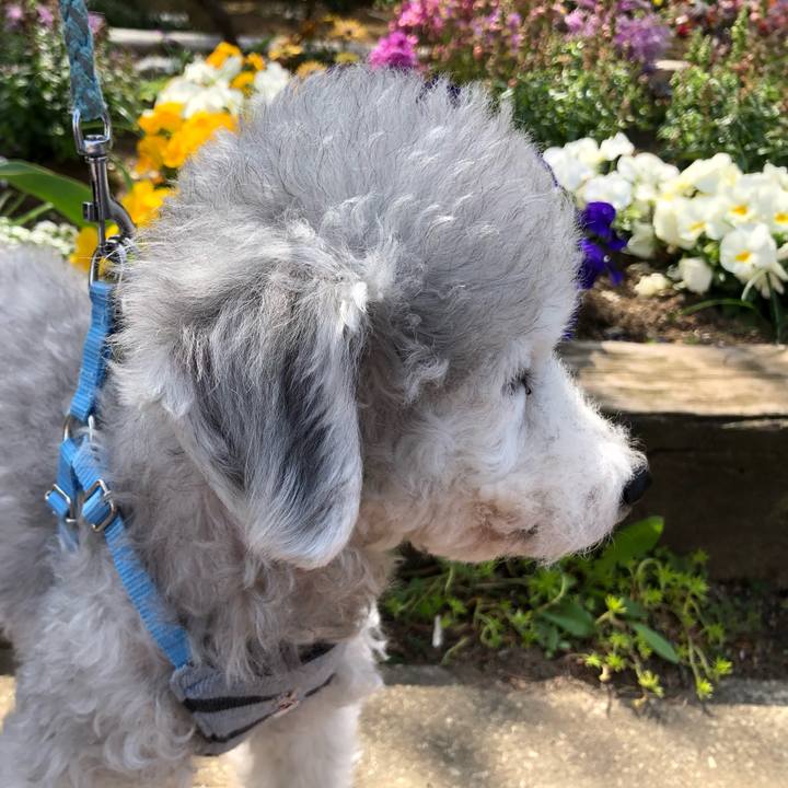 Dd4e8e27 c5ea 45ed 9440 d68f2de8bf71 1584919257254