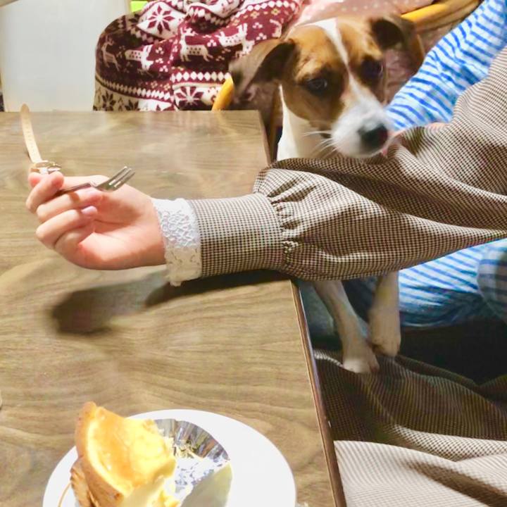 Dd4ec0db a5df 442f aac9 efd49110a7de 1544607128826