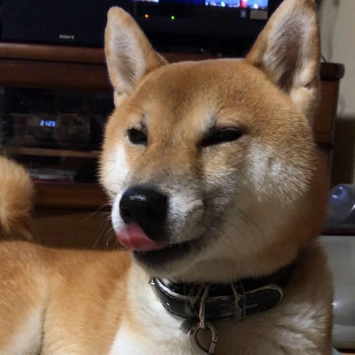 Dd4ecd9d b1fa 47c5 b3b2 e9112829d770 1544617600872