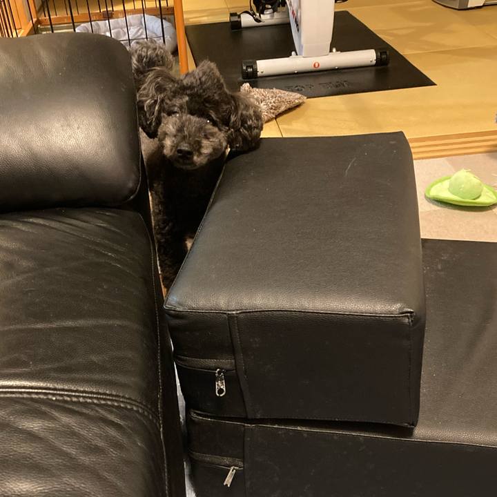 Dd4ececc 457c 4ccb ba4a 72d6ff23a805 1660894606970