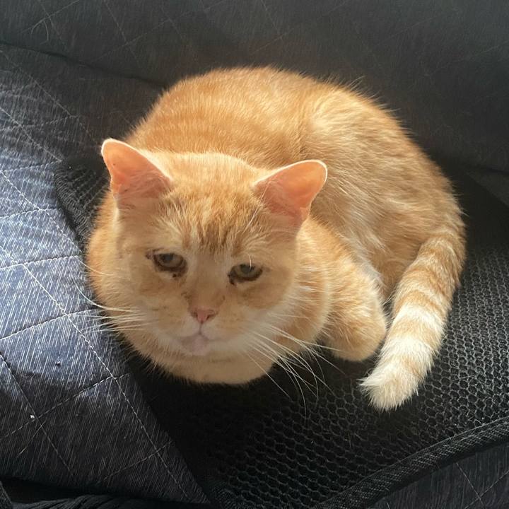 Dd4ed508 4f7b 4431 bb18 c8ffbf843809 1621858751935