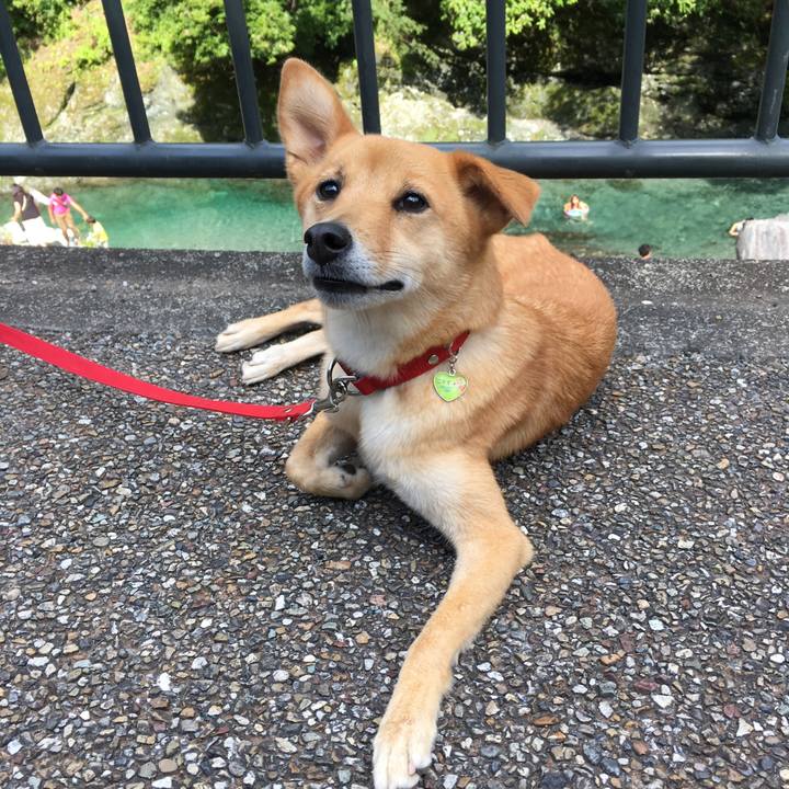 Dd4ee9e2 2846 4ae7 a723 32e2de65731d 1534580120255