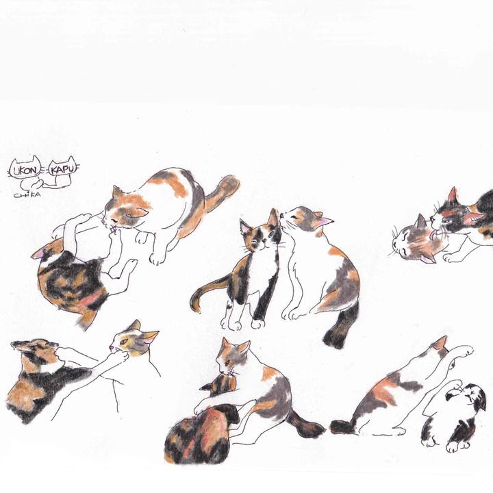 Dd4f0901 b86c 4e32 ba3f 44b9a4245d48 1614253797856