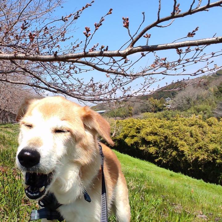 Dd4f0c65 b6f5 490e 89e1 b3d49827cc69 1648094623085