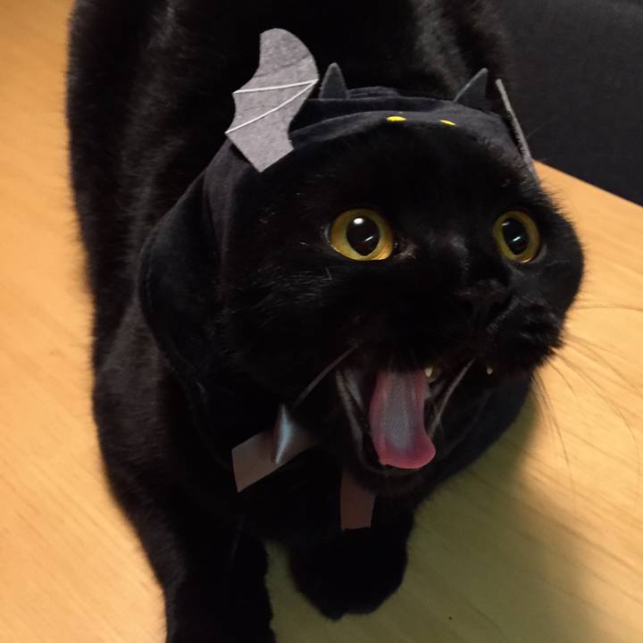 Dd4f1c1a 670d 4a2c 83f4 4d8fa206cd2b 1540978730268