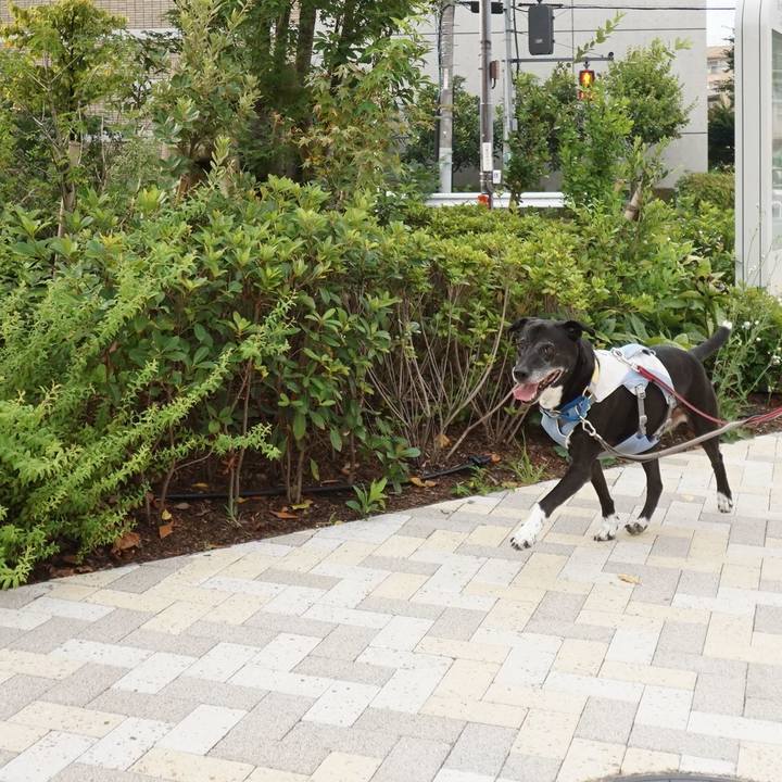 Dd4f3757 19c5 40ce a723 7280dc5c320c 1756339730955