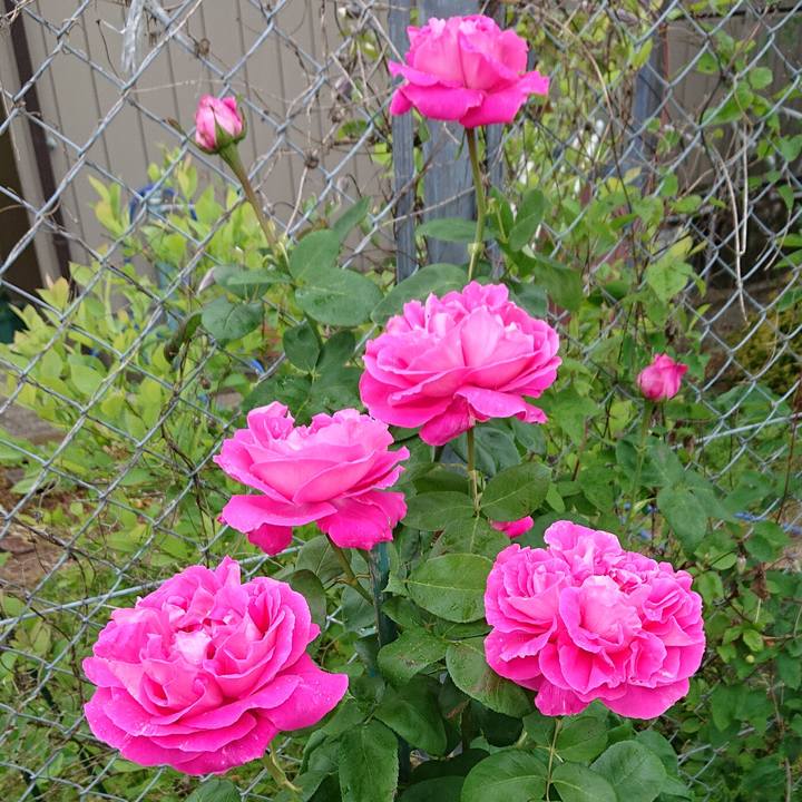 Dd4f41ff 05f6 46a0 9a48 11aad3338e1d 1652095681684