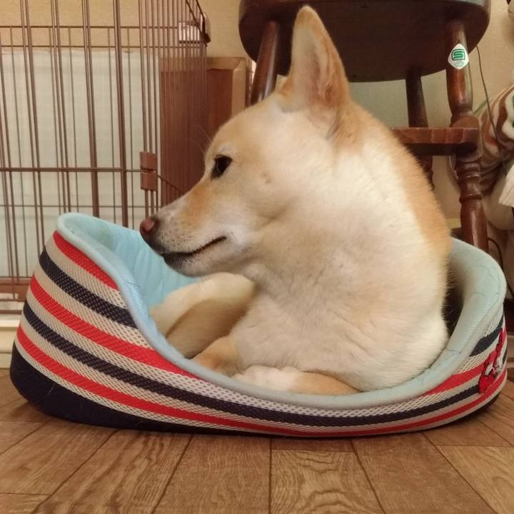 Dd4f8505 22e7 4faf 9620 3e970ddcfd3e 1531973254299