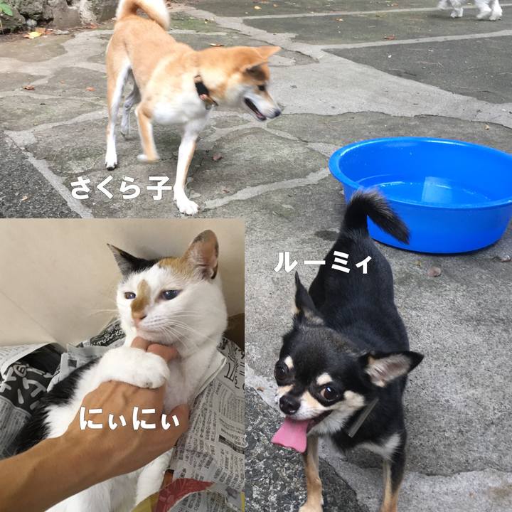 Dd4f8b2c fffa 47da 8377 9b9f83cfa6a2 1538052166373