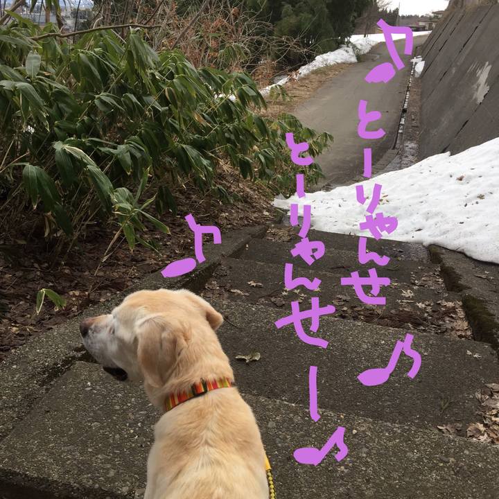 Dd50117f 4068 4f09 a906 98f539c0ee22 1521362418923