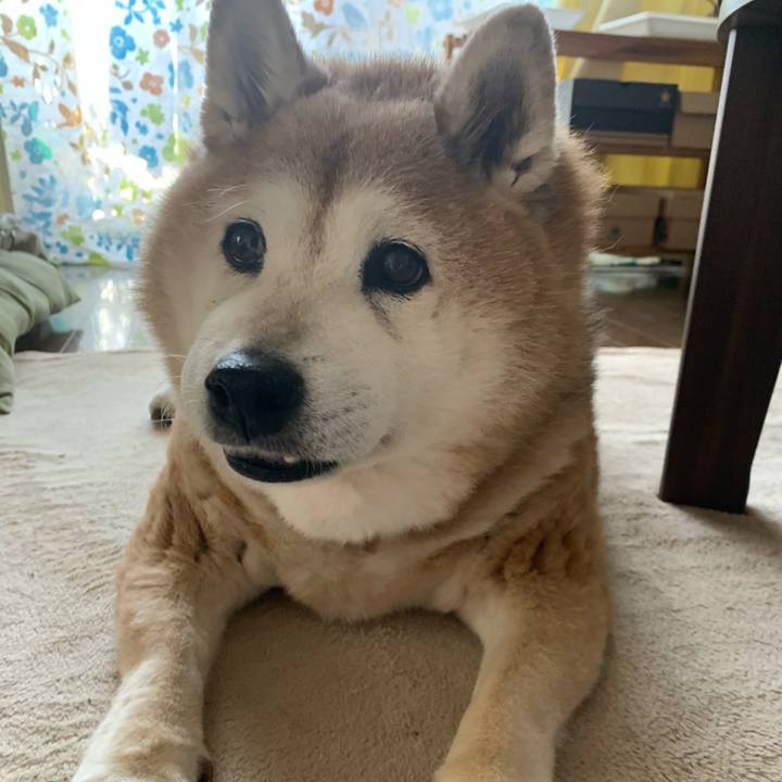 Dd50160a fb5a 4bfe 842b ed0f53abbd10 1618711067455