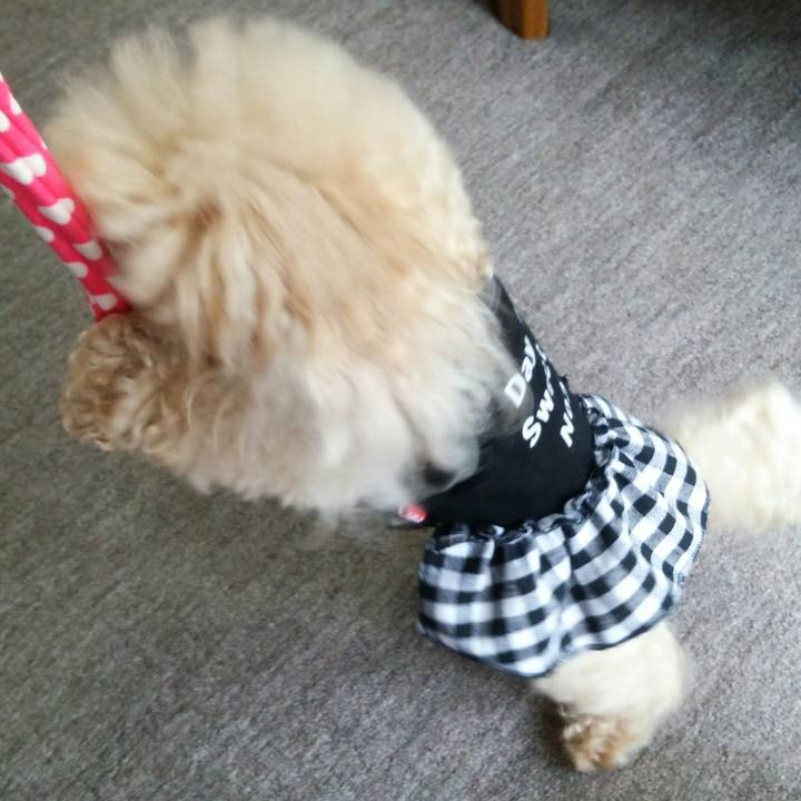 Dd501c92 f968 4460 8444 5300bb1b6358 1538568497518