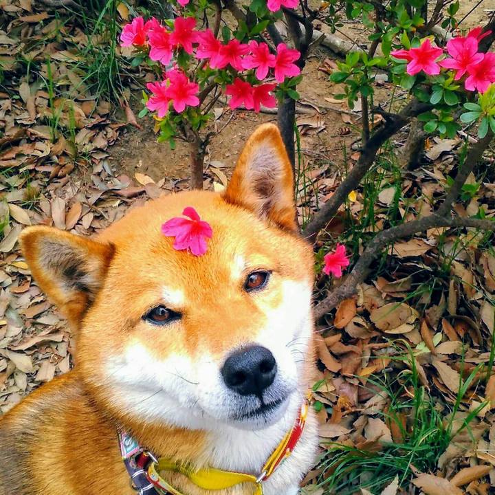 Dd50391c ed86 4261 aeba e46010040d82 1523412584213