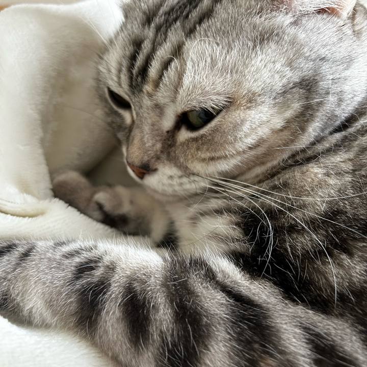 Dd50403e dc36 4c34 a099 216e74596fac 1762299901777