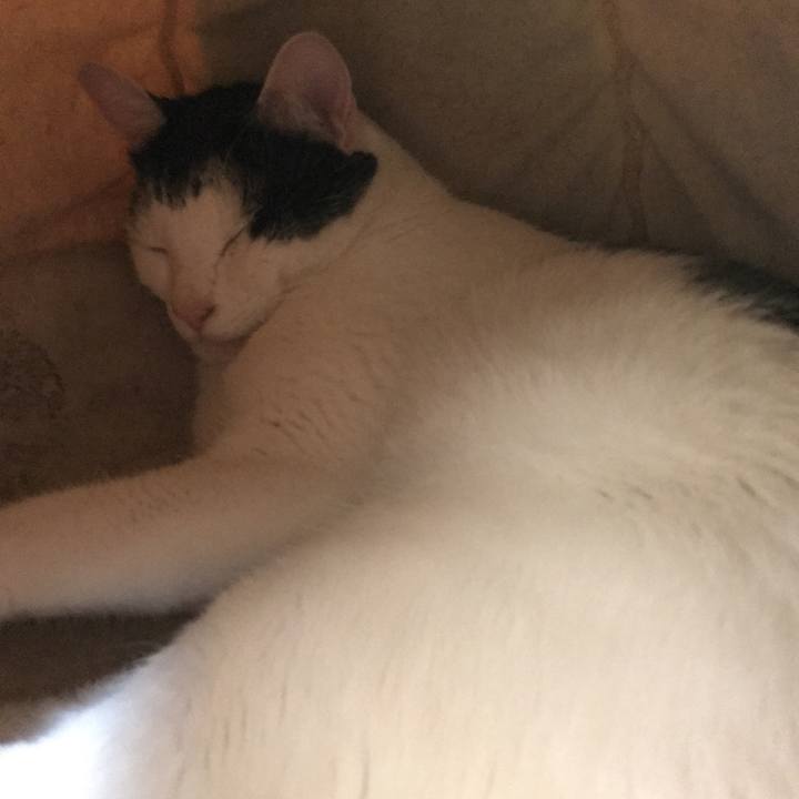 Dd50579f d448 4338 9e00 44168c67b32a 1524145808024