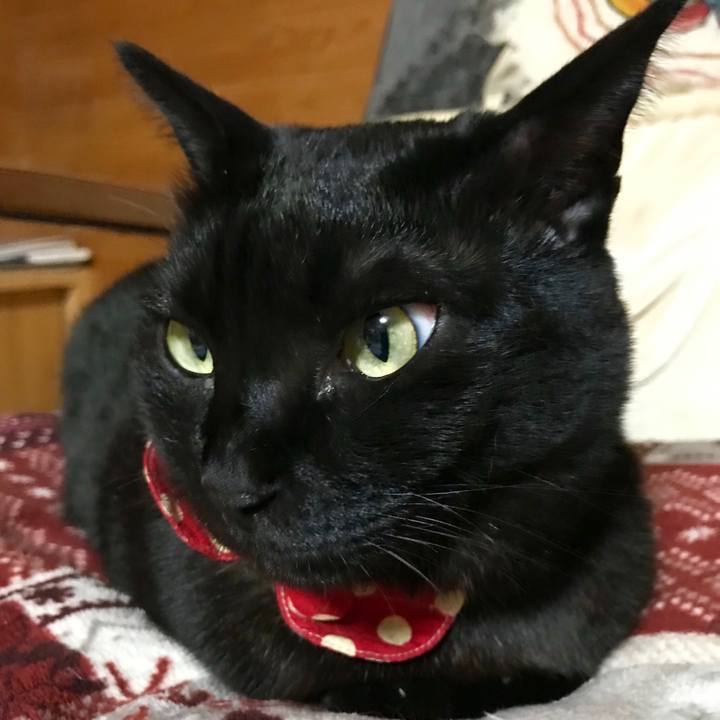 Dd5069a1 b17b 415f 940b a97f804053b4 1550320379286