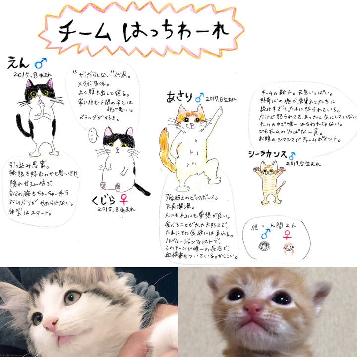 Dd50ec7b 5ba3 4944 a436 3b5c910f2934 1563891685729