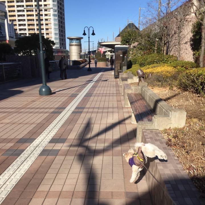 Dd50f0e8 8c5a 444c bfaa fd0342a592ae 1514892555093