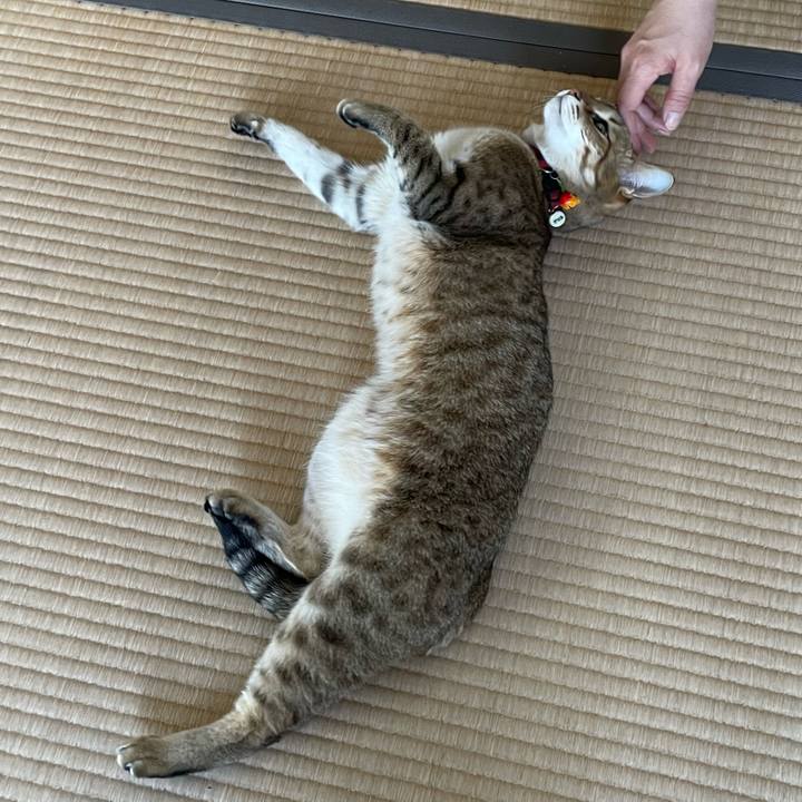 Dd511709 8add 4ab4 a812 151adc412bea 1682669880978