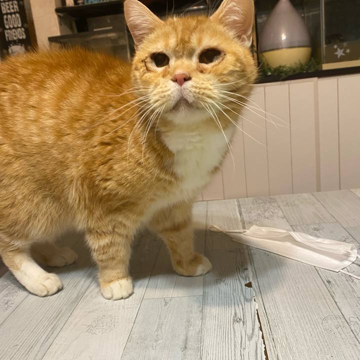 Dd5141eb ca0c 48df 8105 256ad9907255 1671545916512