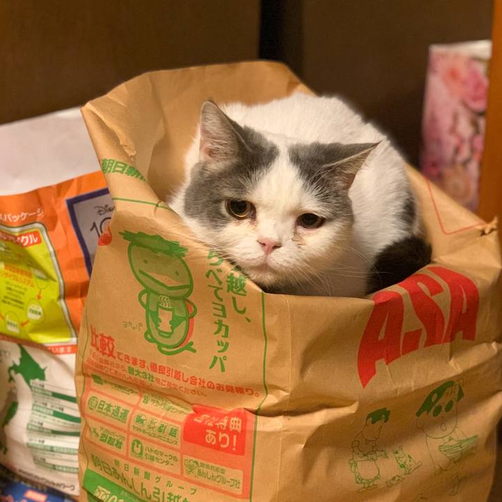 Dd5150fd 51cc 4794 8f8d 2b3b4a738dcf 1699613182060