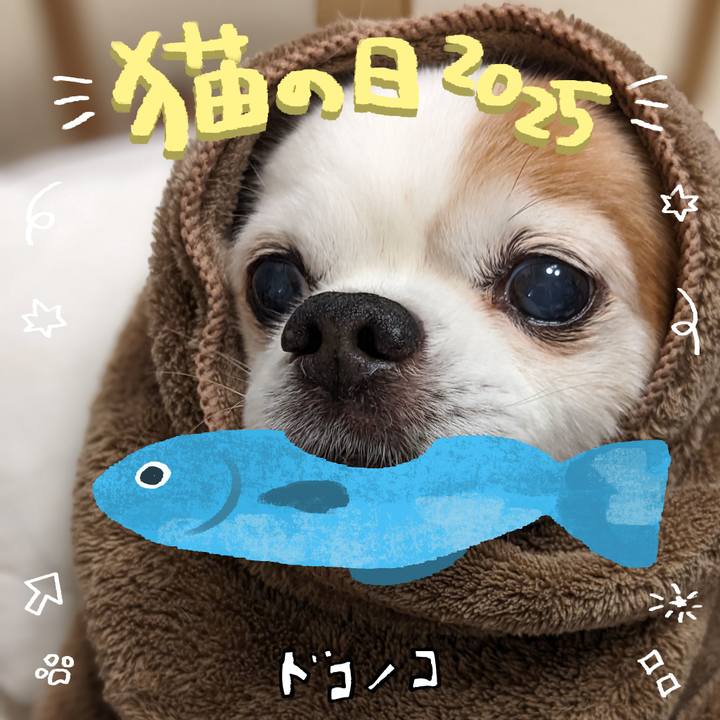 Dd519c2b 7afd 4f07 986c b2ae634ff47f 1740197573051