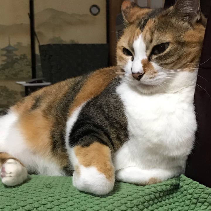 Dd51a12d d431 4fc9 af20 d547d0ea98cd 1604744926703